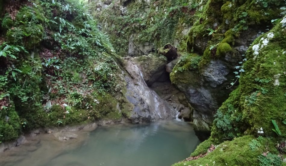 Žumberačka gora – radna akcija